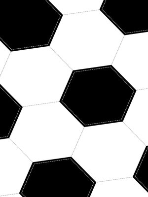 cover image of Bíblia NVI Slim, Capa de futebol, Couro-soft preto e branco, Luxo